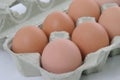 Half a dozen eggs Royalty Free Stock Photo
