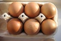 Half a dozen eggs in a box Royalty Free Stock Photo