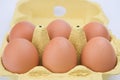 Half dozen eggs in carton Royalty Free Stock Photo