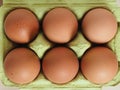 half dozen eggs carton Royalty Free Stock Photo