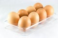 Half a dozen of eggs in the egg tray Royalty Free Stock Photo