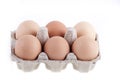 Half dozen fresh eggs in box