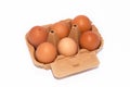 Half a dozen organic eggs in cardboard box