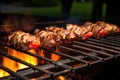 half-dozen oysters on grill over glowing heat