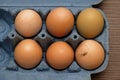Half a dozen raw eggs in box Royalty Free Stock Photo