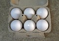 Half a dozen white chicken eggs on cardboard box Royalty Free Stock Photo