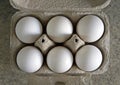 Half a dozen white chicken eggs on cardboard box Royalty Free Stock Photo