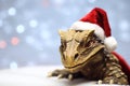 Half-dragon crocodile in Santa Claus hat. The concept of the New Year. Copy space