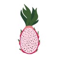 Half dragon fruit isolated on white background. Tropical food pink color in doodle style Royalty Free Stock Photo