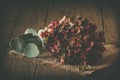 Half-dried and slightly faded pink hydrangea flower and an eucalyptus branch on dark wooden background, beautiful vintage autumn Royalty Free Stock Photo