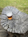 a half drunk glass of refreshing beer on the stump of a large tree surrounded by grass