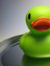 Half duck Royalty Free Stock Photo