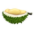 Half durian icon, cartoon style