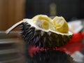 Half of the durian with a tender yellow pulp inside