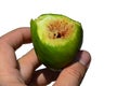 Half eaten fig fruit ficus carica held in man left hand on white background Royalty Free Stock Photo