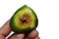 Half eaten fig fruit ficus carica held in man left hand on white background Royalty Free Stock Photo