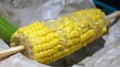 Half eaten sweet corn cob Royalty Free Stock Photo