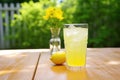a half-emptied glass of iced lemonade on a garden table