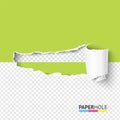 Half empty paper hole vector banner with scrolled torn piece on transparent as revealing message concept Royalty Free Stock Photo
