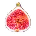 Half fig isolated on a white background Royalty Free Stock Photo