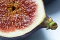 Half fig, macro shot shows the juicy pulp with seeds Royalty Free Stock Photo