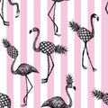 Half flamingo stripe pink background