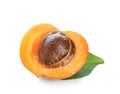 Half of fresh apricot on white background Royalty Free Stock Photo