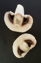 Closeup of common mushrooms isolated over black. Fresh mushrooms ready for preparing.