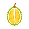 Half fresh durian icon, flat style