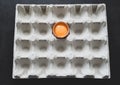 Half of fresh egg with bright yolk in paper tray for eggs on black background. Top view Royalty Free Stock Photo
