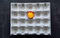 Half of fresh egg with bright yolk in paper tray for eggs on black background. Top view Royalty Free Stock Photo