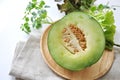 Half of Fresh Japanese Green Melon Royalty Free Stock Photo