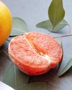 Half a fresh, juicy natural grapefruit on a dark background Royalty Free Stock Photo