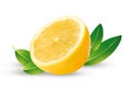 Half a fresh lemon with green leaves on a white isolated background. Royalty Free Stock Photo
