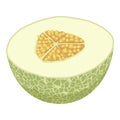 Half fresh melon icon, isometric style