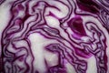 Half of fresh red cabbage as background, closeup Royalty Free Stock Photo