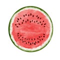 Half fresh watercolor watermelon isolated on white background