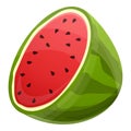 Half fresh watermelon icon, cartoon style Royalty Free Stock Photo