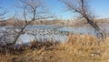 Half frozen lake with 100 & x27; s of geese