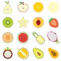 Half fruit illustration set