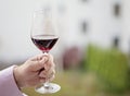 Half full glass of red wine in hand Royalty Free Stock Photo