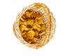 Half full wicker basket with fresh chanterelle mushrooms isolated on white Royalty Free Stock Photo