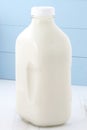 Half gallon milk bottle