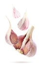 Half garlic and cloves of garlic on a white background, isolated. Garlic flies