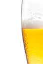 Half glass of fresh beer with drops Royalty Free Stock Photo