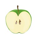 Half of green apple in a cartoon style. Vector illustration Royalty Free Stock Photo