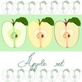 Half of green apple, half of red apple and half of yellow apple vector set Royalty Free Stock Photo