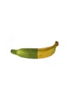 Half green and half yellow Banana.