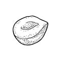 Half hazelnut. Vector black engraving vintage illustration on white Royalty Free Stock Photo