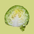 Half a head of cabbage on a light yellow-green background